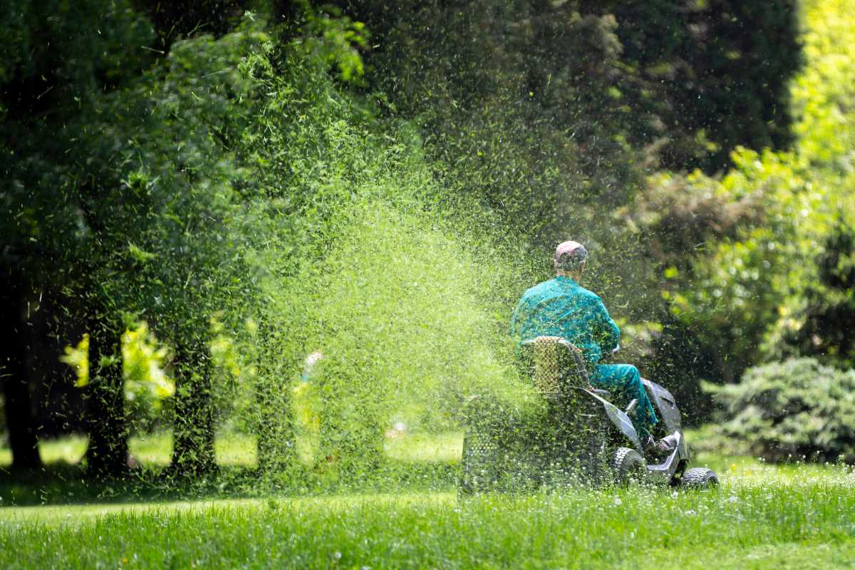 Outdoor Tools That Make Yard Work Easier